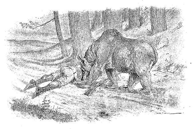 L’Ours et Les Deux Compagnons de Jean de La Fontaine dans Les Fables - Illustration de Auguste Vimar - 1897