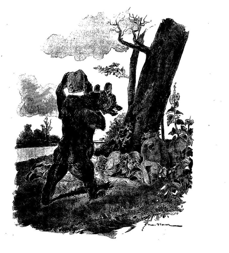 L’Ours et l’Amateur Des Jardins de Jean de La Fontaine dans Les Fables - Illustration de Auguste Vimar - 1897