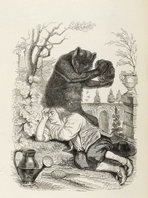 L’Ours et l’Amateur Des Jardins de Jean de La Fontaine dans Les Fables - Illustration de Grandville - 1840