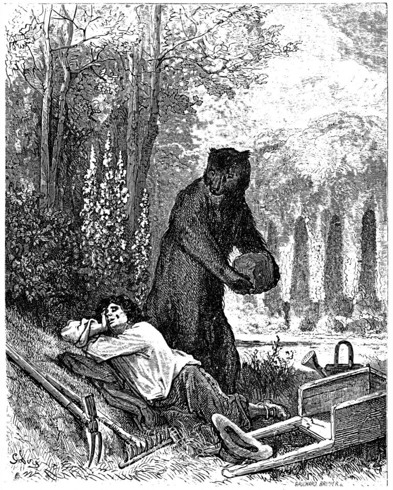 L’Ours et l’Amateur Des Jardins de Jean de La Fontaine dans Les Fables - Illustration de Gustave Doré - 1876