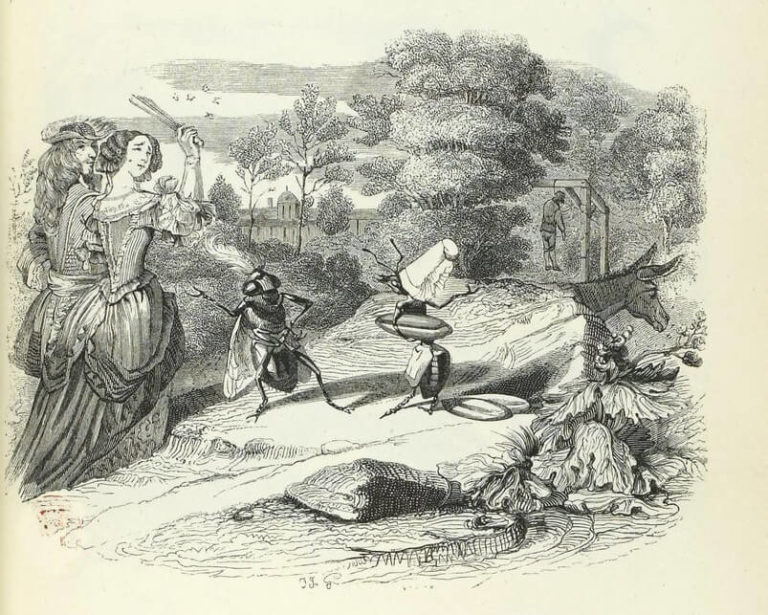 La Mouche et La Fourmi de Jean de La Fontaine dans Les Fables - Illustration de Grandville - 1840