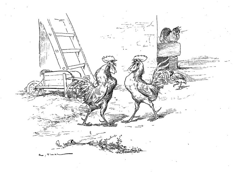 La Perdrix et Les Coqs de Jean de La Fontaine dans Les Fables - Illustration de Auguste Vimar - 1897