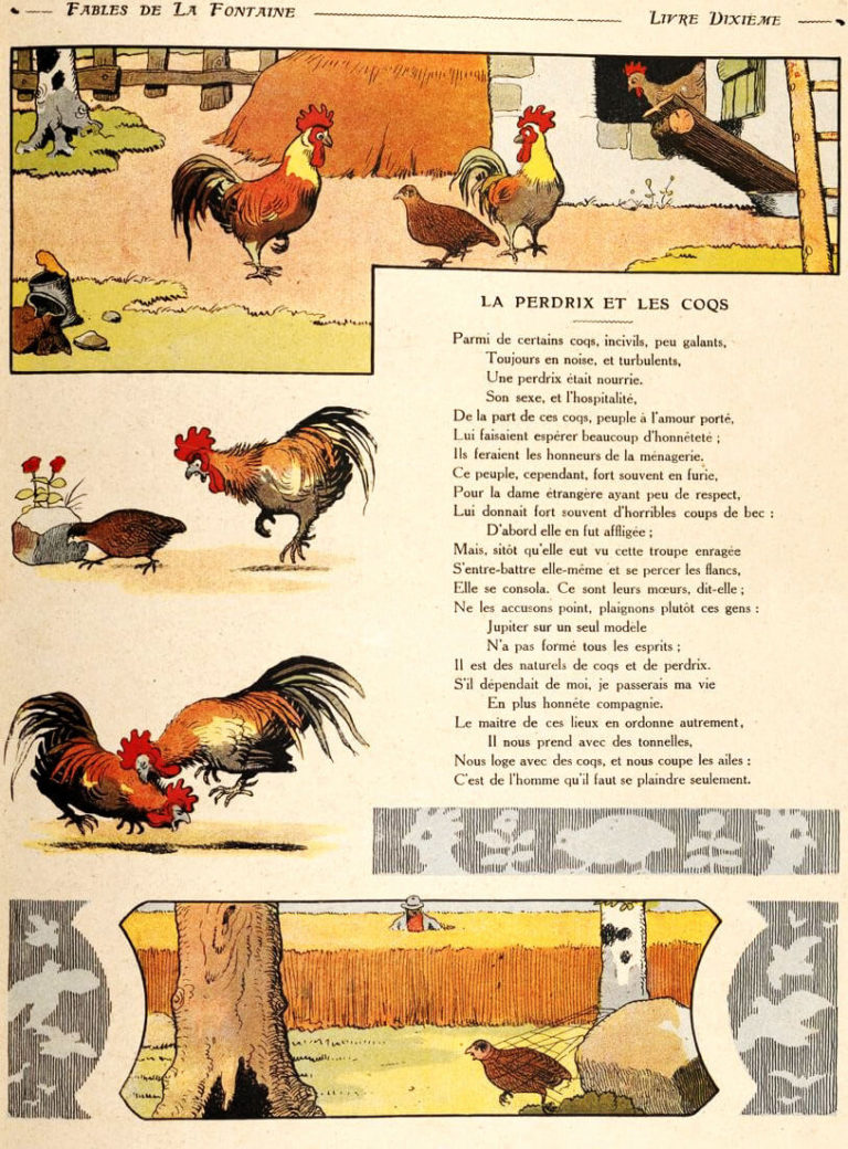 La Perdrix et Les Coqs de Jean de La Fontaine dans Les Fables - Illustration de Benjamin Rabier - 1906