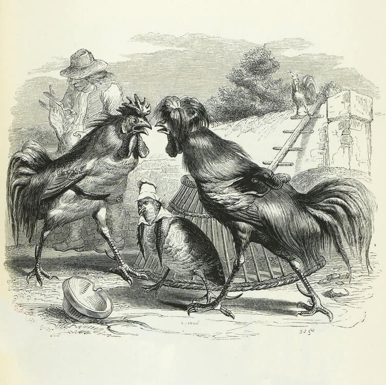 La Perdrix et Les Coqs de Jean de La Fontaine dans Les Fables - Illustration de Grandville - 1840