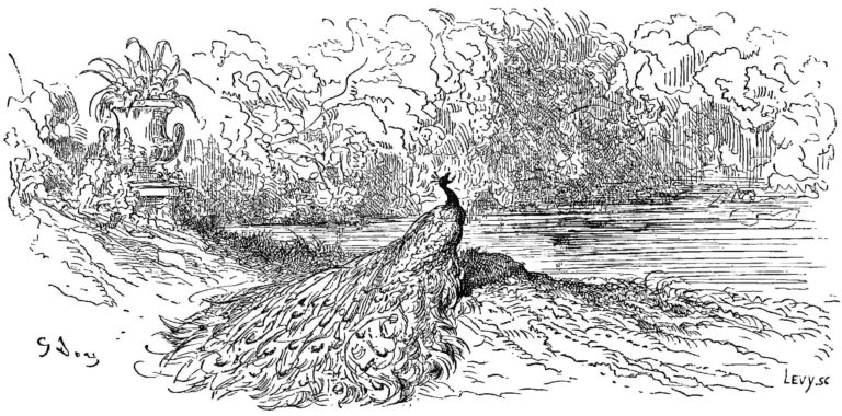 Le Paon Se Plaignant À Junon de Jean de La Fontaine dans Les Fables - Gravure de Gustave Doré - 1876