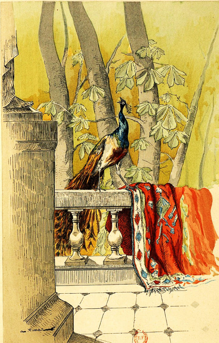Le Paon Se Plaignant À Junon de Jean de La Fontaine dans Les Fables - Illustration de Auguste Vimar - 1897