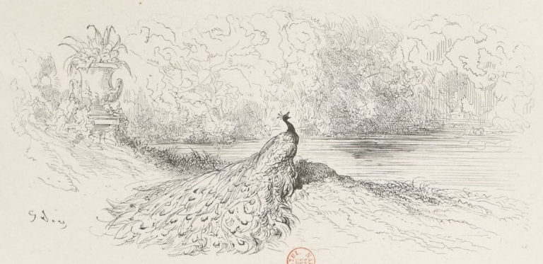 Le Paon Se Plaignant À Junon de Jean de La Fontaine dans Les Fables - Illustration de Gustave Doré - BNF - 2 - 1876