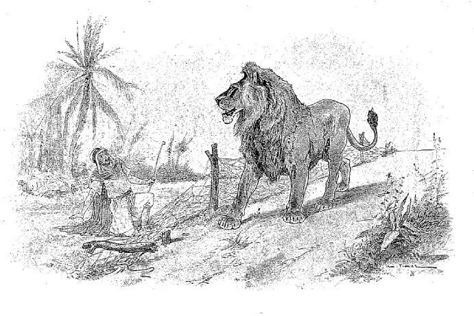 Le Pâtre et Le Lion de Jean de La Fontaine dans Les Fables - Illustration de Auguste Vimar - 1897