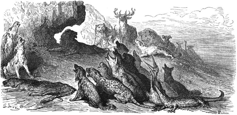 Les Obsèques De La Lionne de Jean de La Fontaine dans Les Fables - Gravure de Gustave Doré - 1876