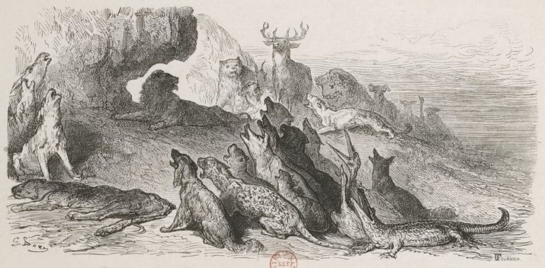 Les Obsèques De La Lionne de Jean de La Fontaine dans Les Fables - Illustration de Gustave Doré - 1876