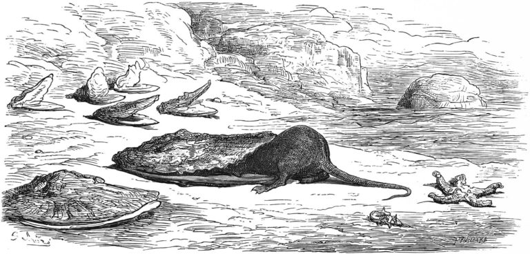 Le Rat et l’Huître de Jean de La Fontaine dans Les Fables - Illustration de Gustave Doré - 1876