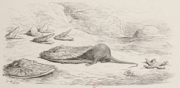 Le Rat et l’Huître de Jean de La Fontaine dans Les Fables - Illustration de Gustave Doré - BNF - 1876