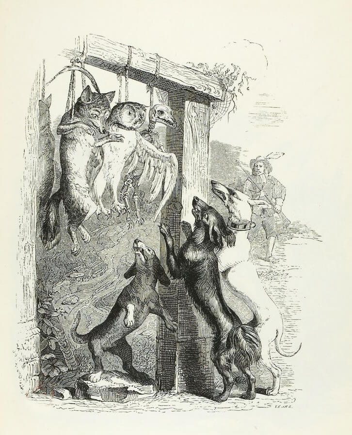 Le Renard Anglais de Jean de La Fontaine dans Les Fables - Illustration de Grandville - 1840