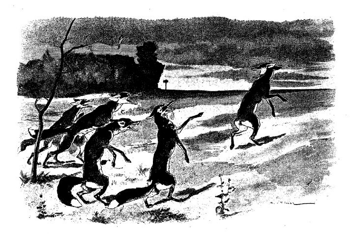 Le Renard Ayant La Queue Coupée de Jean de La Fontaine dans Les Fables - Illustration de Auguste Vimar - 1897