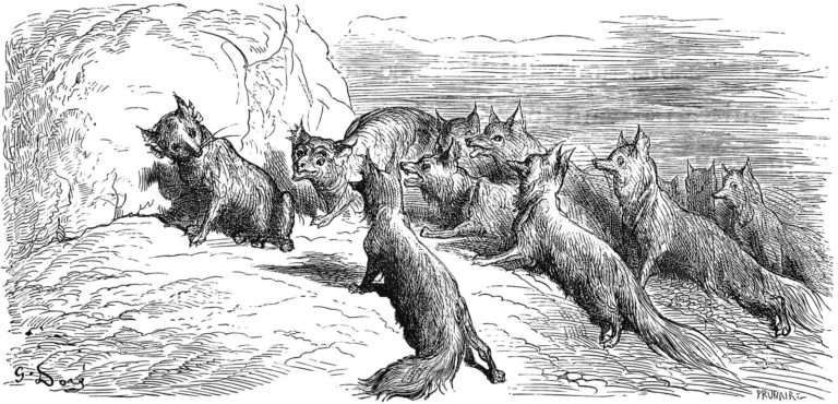 Le Renard Ayant La Queue Coupée de Jean de La Fontaine dans Les Fables - Illustration de Gustave Doré - 1876