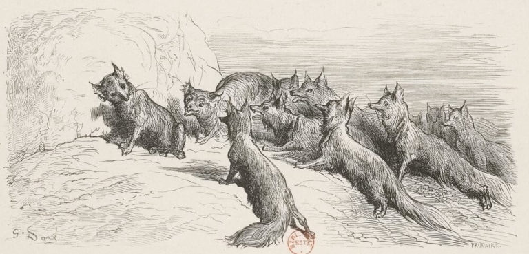 Le Renard Ayant La Queue Coupée de Jean de La Fontaine dans Les Fables - Illustration de Gustave Doré - Gallica - 1876