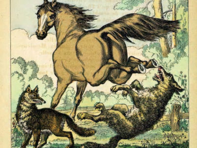 Le Renard, Le Loup et Le Cheval
