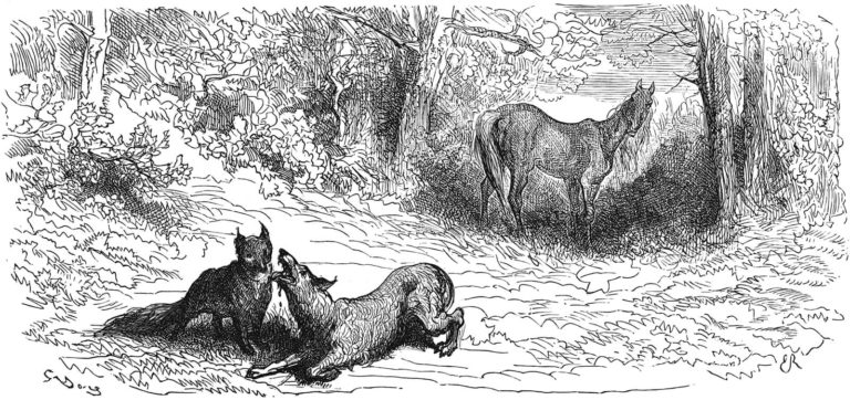 Le Renard, Le Loup et Le Cheval de Jean de La Fontaine dans Les Fables - Illustration de Gustave Doré - 1876