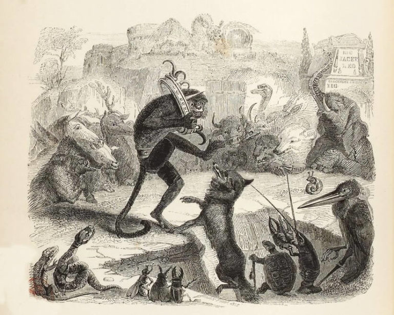 Le Renard, Le Singe et Les Animaux de Jean de La Fontaine dans Les Fables - Illustration de Grandville - 1840