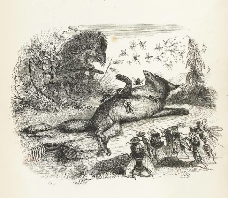 Le Renard, Les Mouches et Le Hérisson de Jean de La Fontaine dans Les Fables - Illustration de Grandville - 1840