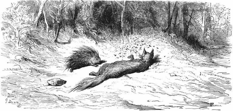 Le Renard, Les Mouches et Le Hérisson de Jean de La Fontaine dans Les Fables - Illustration de Gustave Doré - 1876