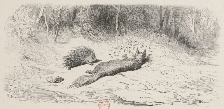 Le Renard, Les Mouches et Le Hérisson de Jean de La Fontaine dans Les Fables - Illustration de Gustave Doré - Gallica - 1876