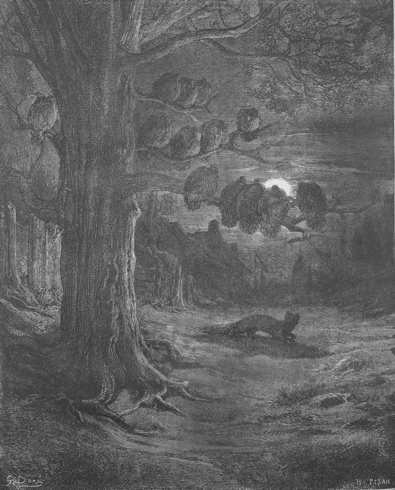 Le Renard et Les Poulets d'Inde de Jean de La Fontaine dans Les Fables - Gravure de Gustave Doré - 1876
