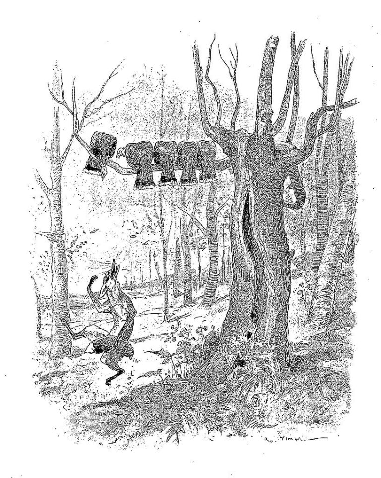 Le Renard et Les Poulets d'Inde de Jean de La Fontaine dans Les Fables - Illustration de Auguste Vimar - 1897