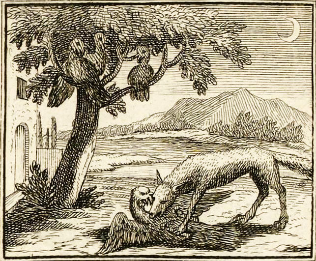 Le Renard et Les Poulets d'Inde de Jean de La Fontaine dans Les Fables - Illustration de François Chauveau - 1688