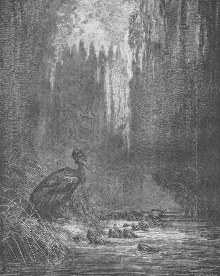 Les Poissons et Le Cormoran de Jean de La Fontaine dans Les Fables - Gravure de Gustave Doré - 1876
