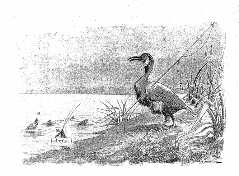 Les Poissons et Le Cormoran de Jean de La Fontaine dans Les Fables - Illustration de Auguste Vimar - 1897