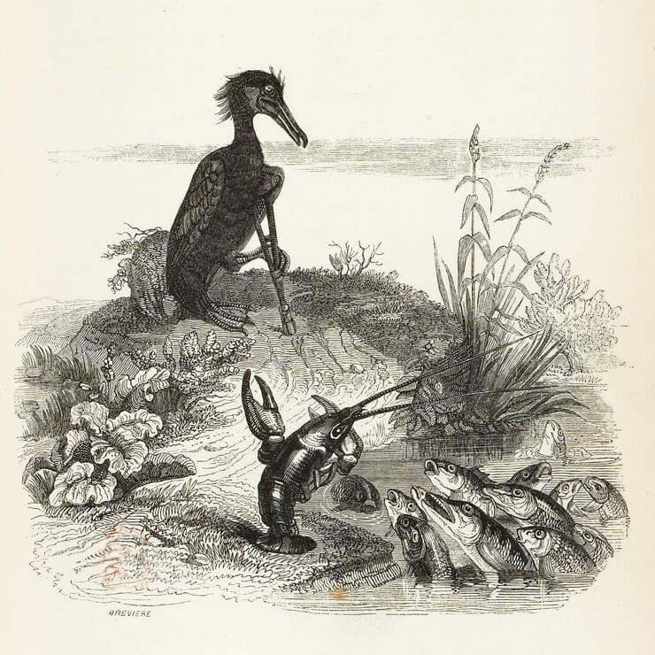Les Poissons et Le Cormoran de Jean de La Fontaine dans Les Fables - Illustration de Grandville - 1840