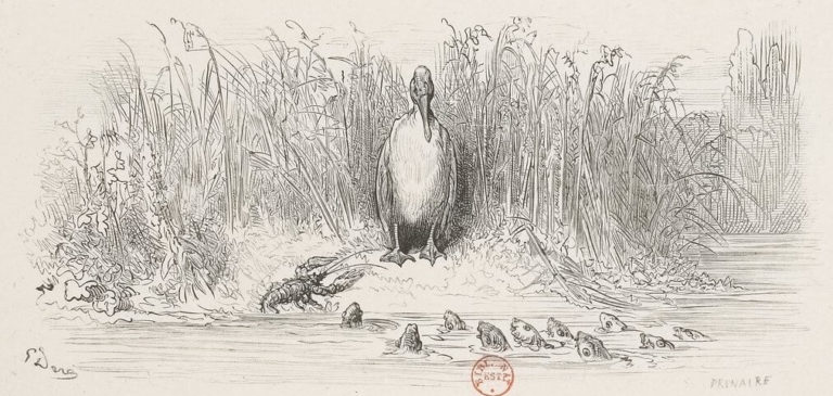 Les Poissons et Le Cormoran de Jean de La Fontaine dans Les Fables - Illustration de Gustave Doré - BNF - 1 - 1876