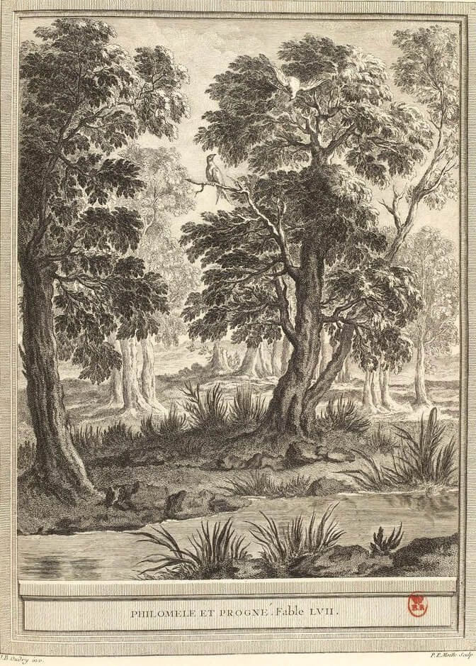 Philomèle et Progné de Jean de La Fontaine dans Les Fables - Gravure par Pierre-Étienne Moitte d'après un dessin de Jean-Baptiste Oudry - 1759