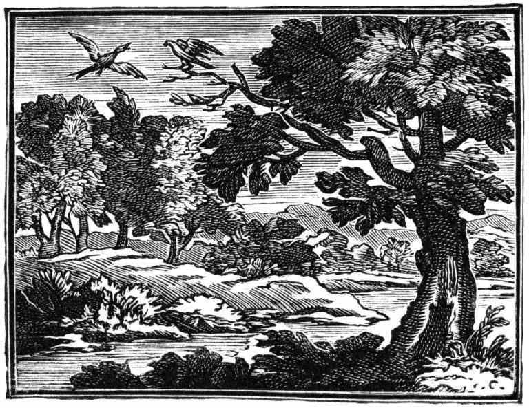 Philomèle et Progné de Jean de La Fontaine dans Les Fables - Illustration de François Chauveau - 1688