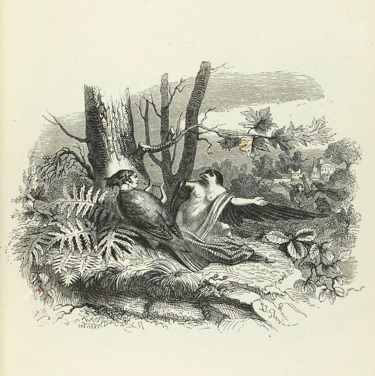 Philomèle et Progné de Jean de La Fontaine dans Les Fables - Illustration de Grandville - 1840