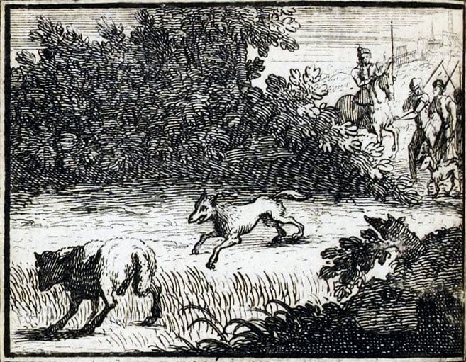 Rien De Trop de Jean de La Fontaine dans Les Fables - Illustration de François Chauveau - 1688