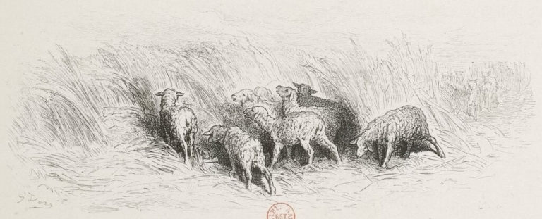 Rien De Trop de Jean de La Fontaine dans Les Fables - Illustration de Gustave Doré - 1876