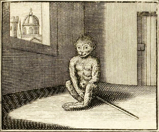 Le Singe de Jean de La Fontaine dans Les Fables - Illustration de François Chauveau - 1688