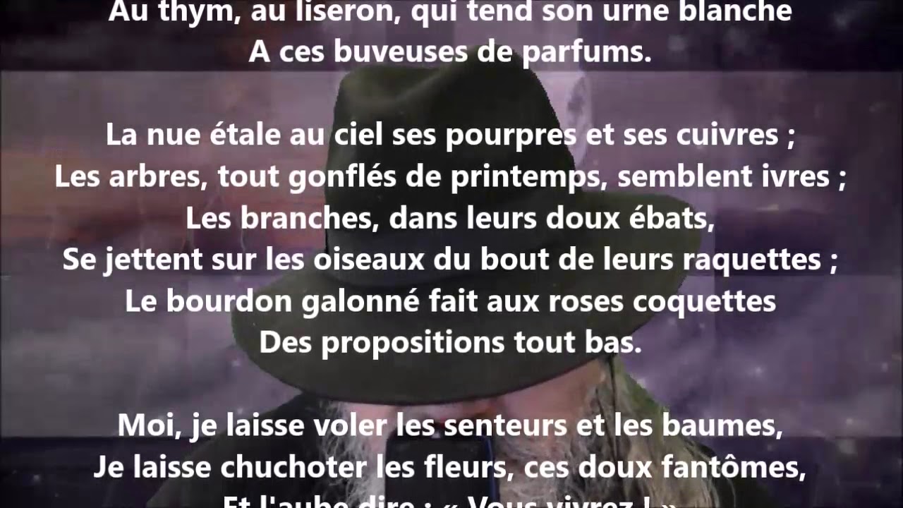 Les Contemplations Résumé De Chaque Poème