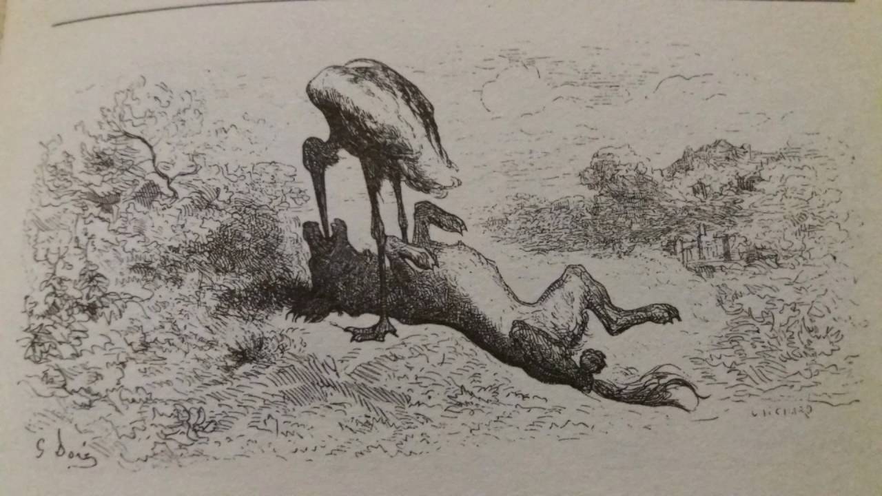 Le Loup et La Cigogne - Fable de Jean de La Fontaine | Speakerty