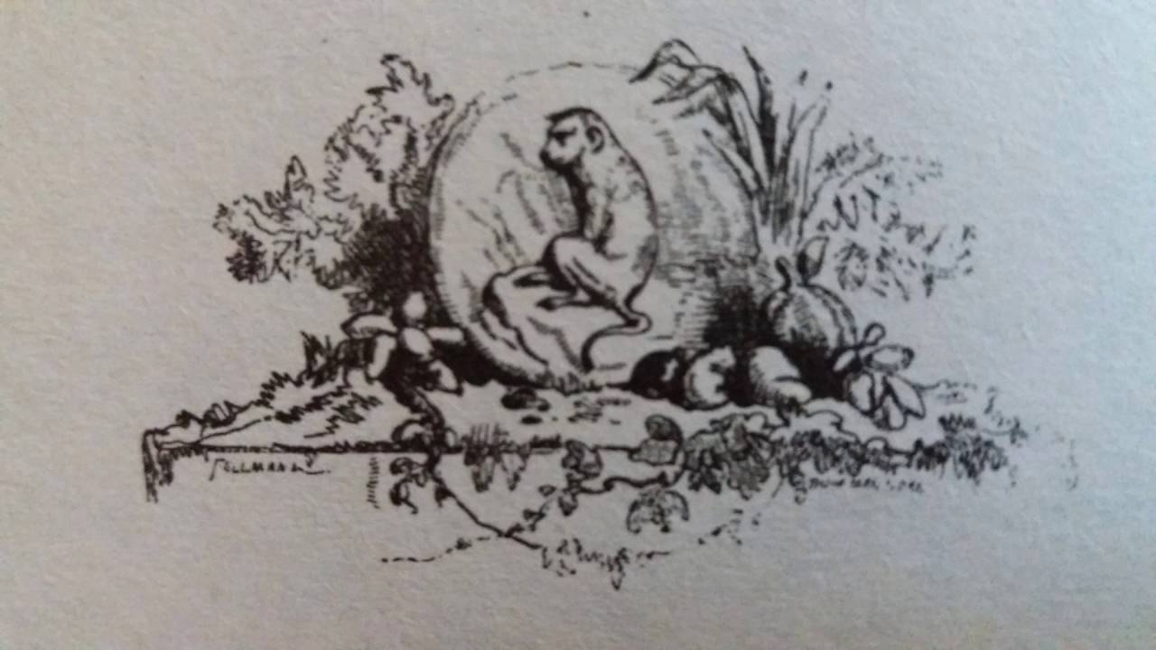 Le Loup Plaidant Contre Le Renard Par-devant Le Singe